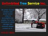 Best Storm Damage Tree Service in Baltimore, Maryland
