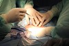 Disc Herniation Arizona