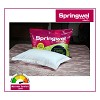 Wide range of Pillows Online - Springwel