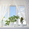 Custom Blinds