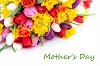 Send Mother's Day flower to Mumbai