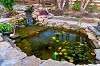 Landscaping - Water Feature