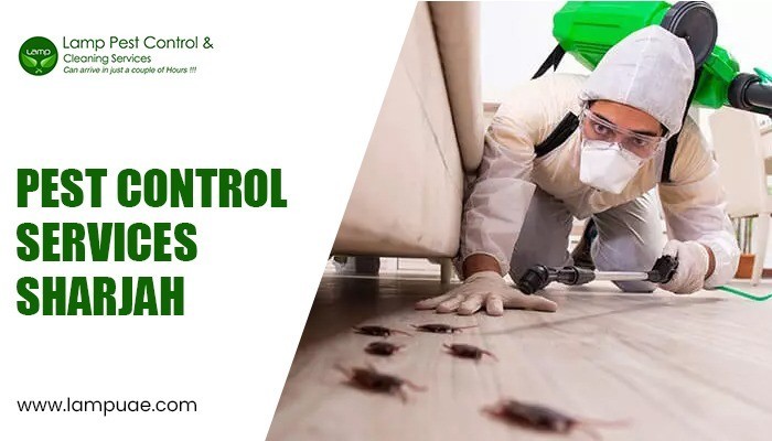 Pest control services in Sharjah: Protecting your valuable health and property
