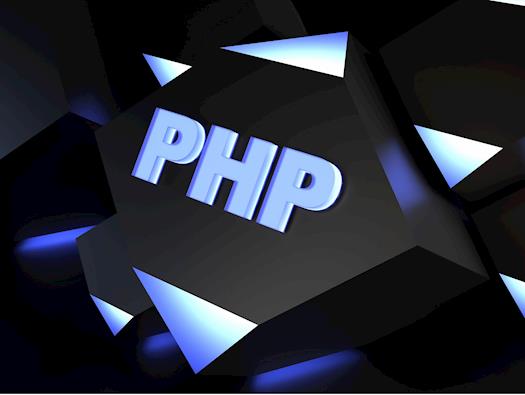  Do you think PHP is suited for your business development?