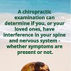 Chiropractic Quote for the day
