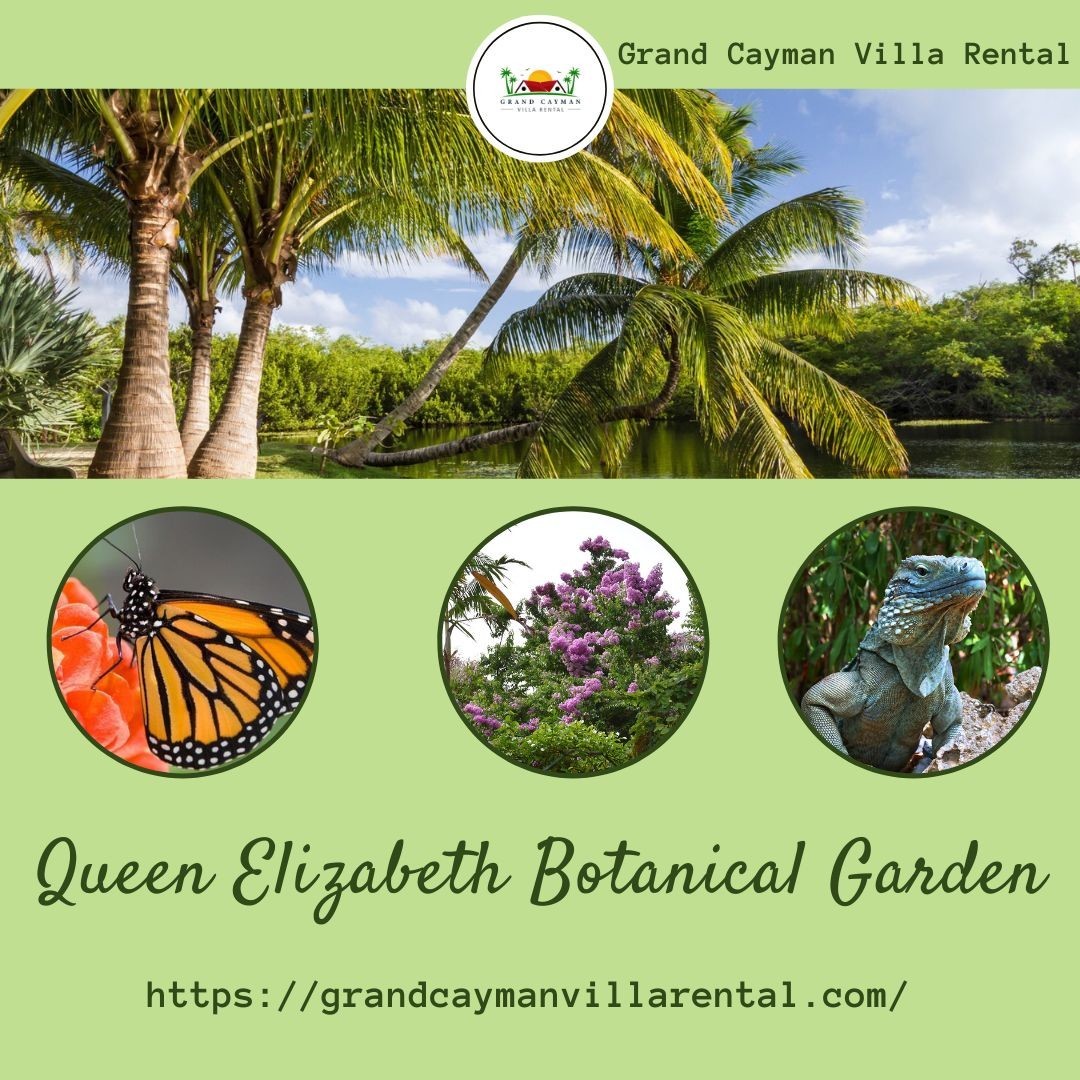 Experience the Beauty of Nature at Queen Elizabeth II Botanic Park in Grand Cayman