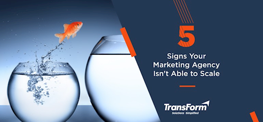 5 Signs Your Marketing Agency Isn’t Able to Scale