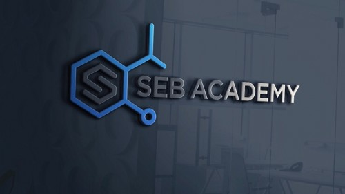 Seb Academy Chemistry Tuition Singapore