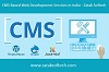 CMS Based Web Development Services in India