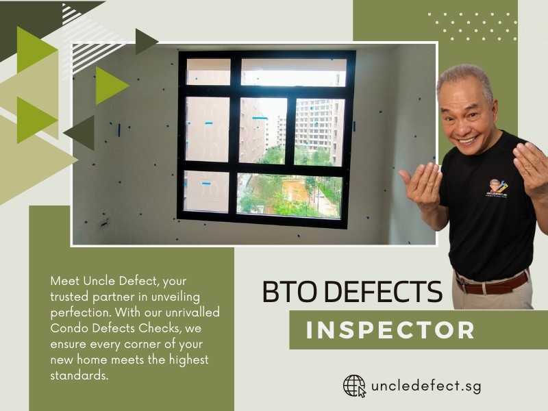 BTO Defects Check Inspector