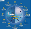 All you need to know about you Pet Cat's Perfect Day - PetSutra
