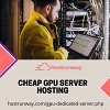 Cheap GPU Server Hosting