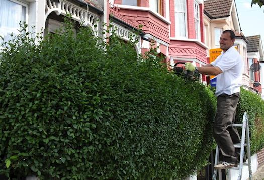 Gardening services