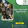 Best Tree Care Edmonton