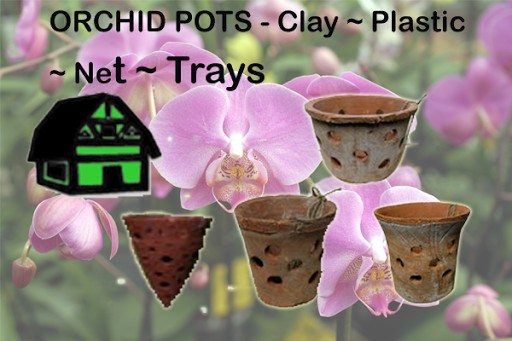 Beautiful Orchid Pots in Florida