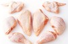 Renowned Supplier and Exporter of Premium-Quality Frozen Chicken