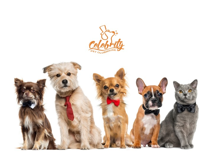 Celebrity Pet Clubhouse For Grooming & Care