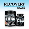 Recovery Stack Supplements to Burn Excess Body Fat