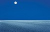 Rann Of Kutch Festival