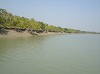 Sundarban Wild Safari