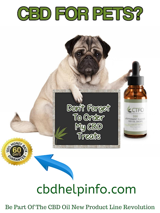 CBD oil products for your pets