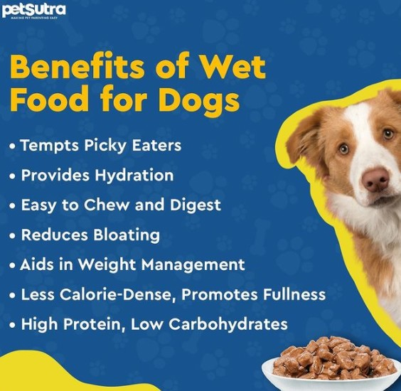Buy Wet Food for Small, Medium & Large Dog Breeds & Puppies Online - PetSutra