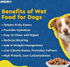 Buy Wet Food for Small, Medium & Large Dog Breeds & Puppies Online - PetSutra
