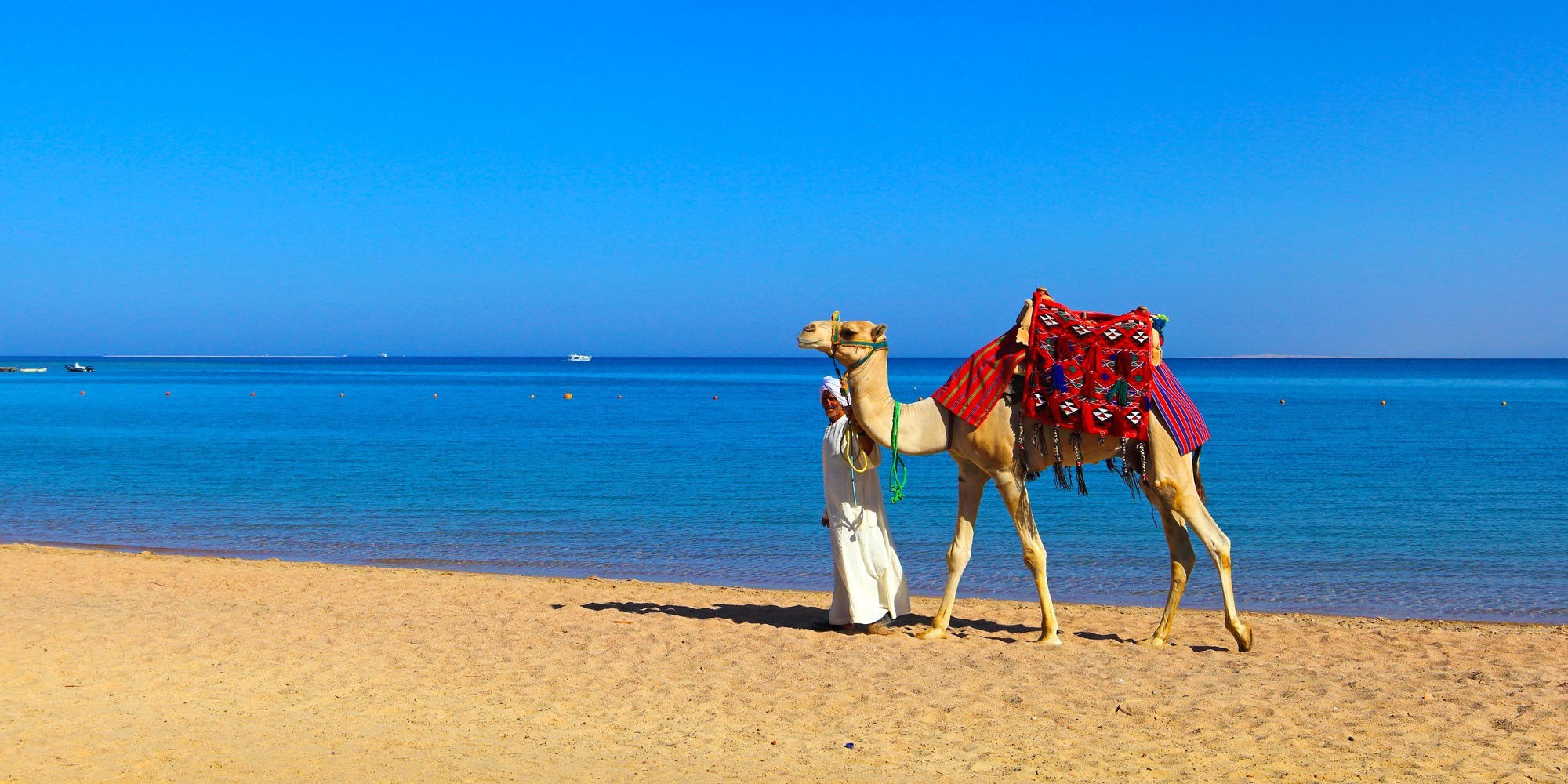 Amazing Egypt Travel Packages