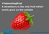Interesting fact on strawberry