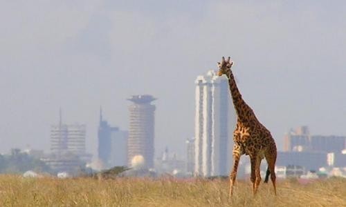 travel to Kenya 