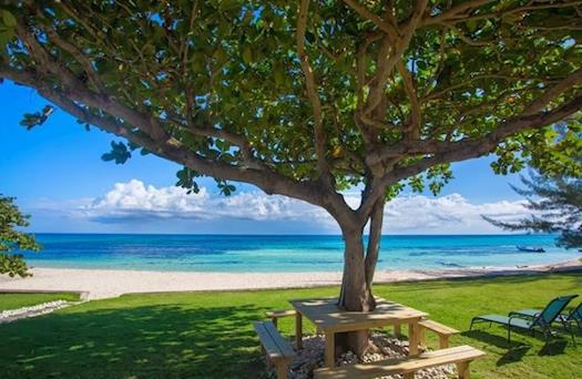 Jamaican Treasures - Beachfront View