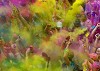 Pigments & Festive Colors Dealers in Mumbai