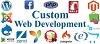 Web Development for Offshore Firms