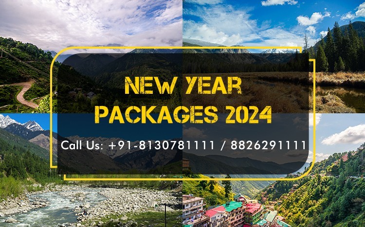 Naldhera New Year Packages 2024