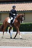 Los Angeles Dressage Stable