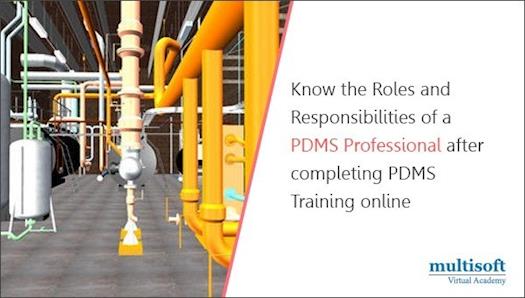 Know the roles and responsibility of a PDMS professional
