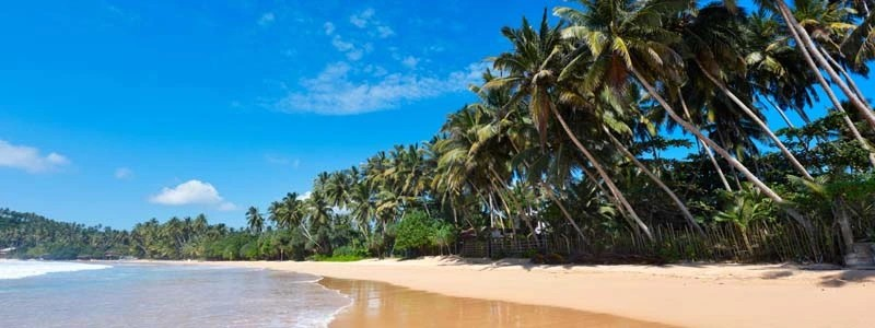  Sri Lanka Beach Tour Package: Explore the Best Coastal Destinations