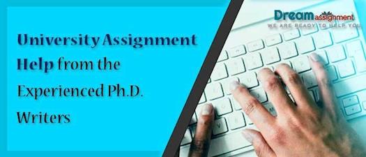 University Assignment Help from Experienced PHD Writers
