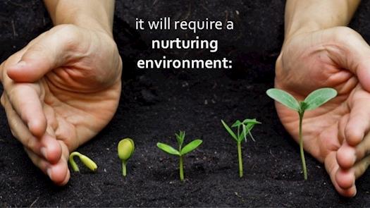 Nurturing Environments