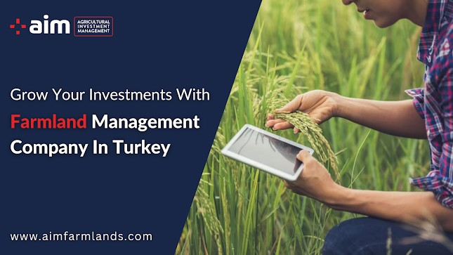 Grow Your Investments With Farmland Management Company In Turkey