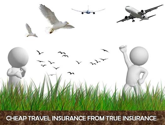 Cheap Travel Insurance From True Insurance