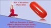 Stone of Planet Mars- Red Coral Gemstone Benefits