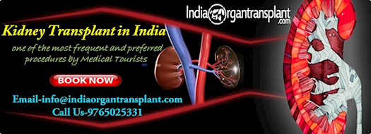 Kidney Transplant in India: one of the most frequent and preferred procedures by Medical Tourists