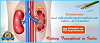 More patients getting a renewed life owing to budget-friendly Cost of Kidney Transplant in India