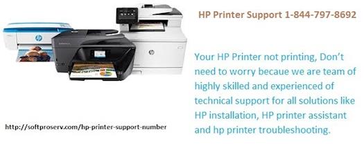 Your HP printer not working and looking for HP printer support?