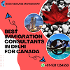 BEST IMMIGRATION CONSULTANTS  IN DELHI FOR CANADA