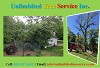 Silver Spring Tree Removal Tree Services, Tree Cutting & Tree Care