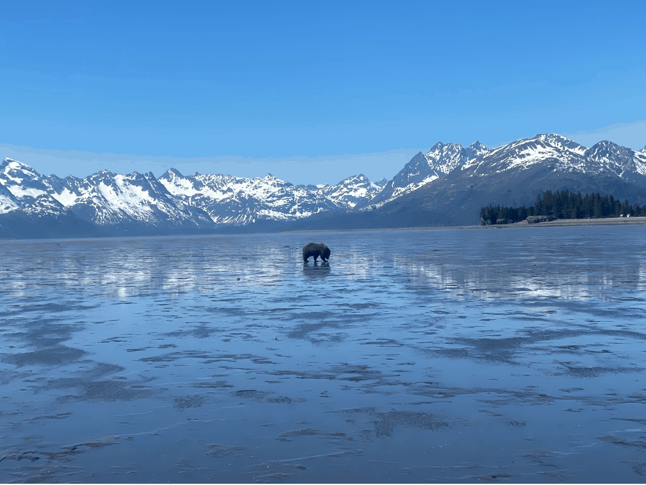 Website - Alaskan Destinations