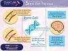 Avail Reasonably Priced Stem Cell Therapy in India for Stroke Treatment