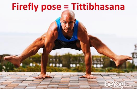 Firefly pose Tittibhasana - How to Do it Perfectly?